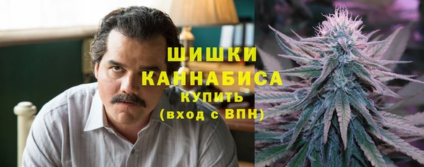 бошки Козельск