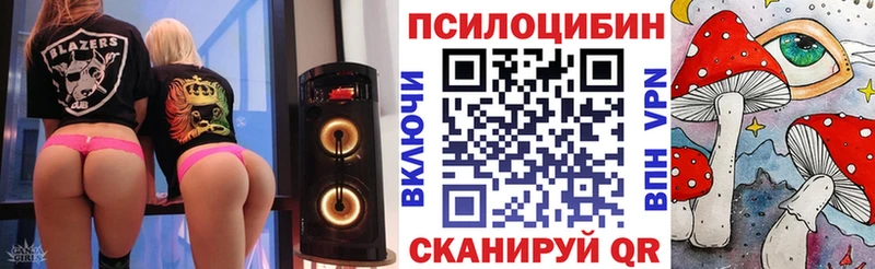 Купить где  Полярные Зори  Псилоцибиновые грибы Cubensis 